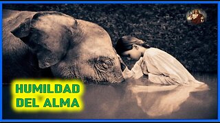 MENSAJE DE JESUCRISTO A DANIEL DE MARIA - HUMILDAD DEL ALMA