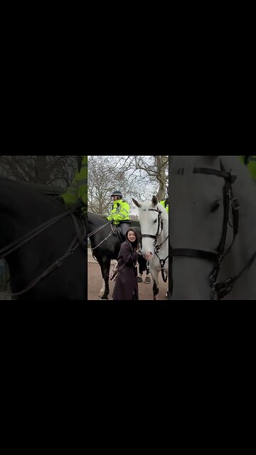 Posing with the police horse's