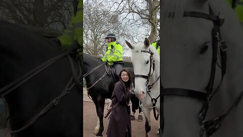 Posing with the police horse's