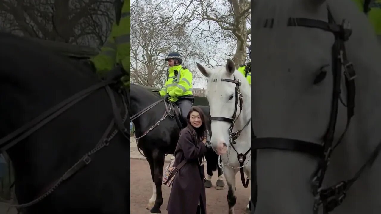 Posing with the police horse's