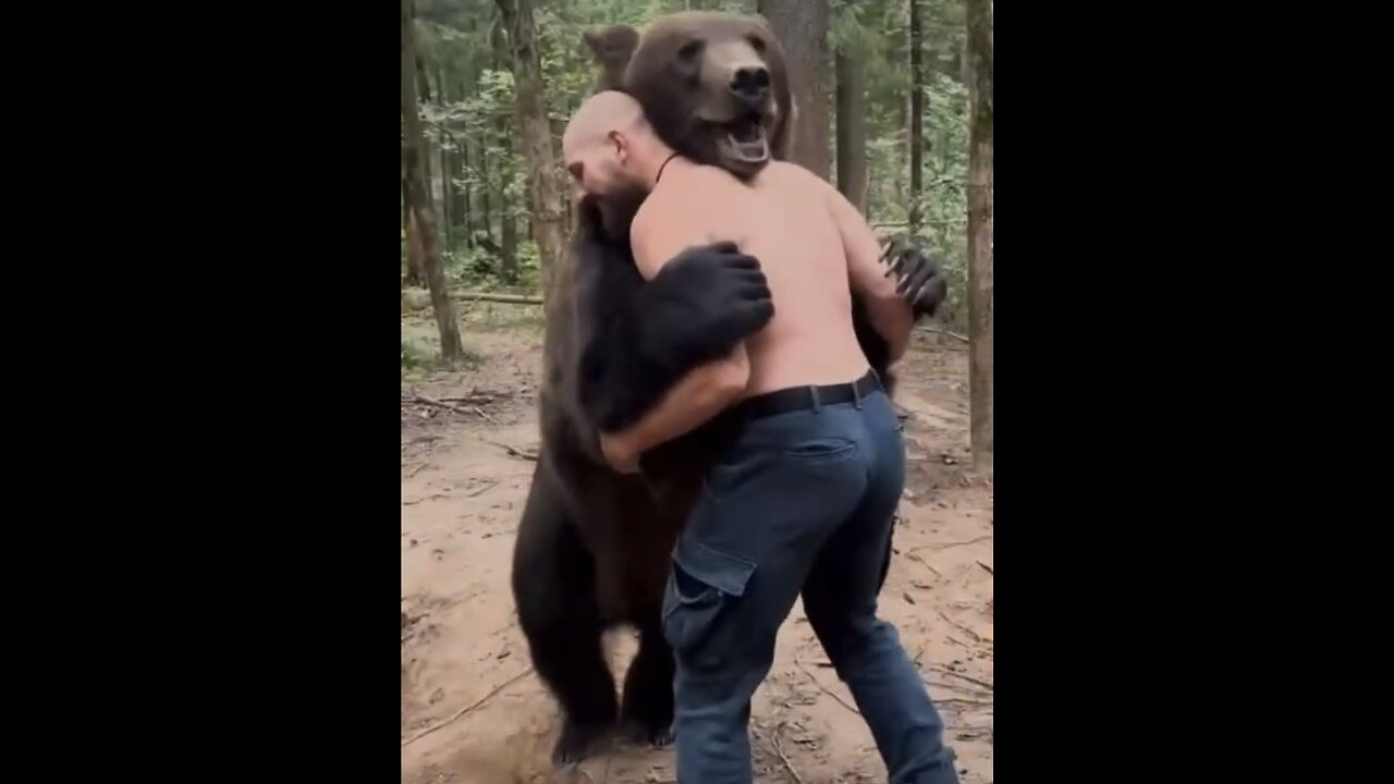 BEAR WHISPER🐻💚🚹GETS BEAR HUGS🧸🤗BEAR HEALING❤️‍🩹🐻BEAR WRESTLING🐻🤼‍♂️💫