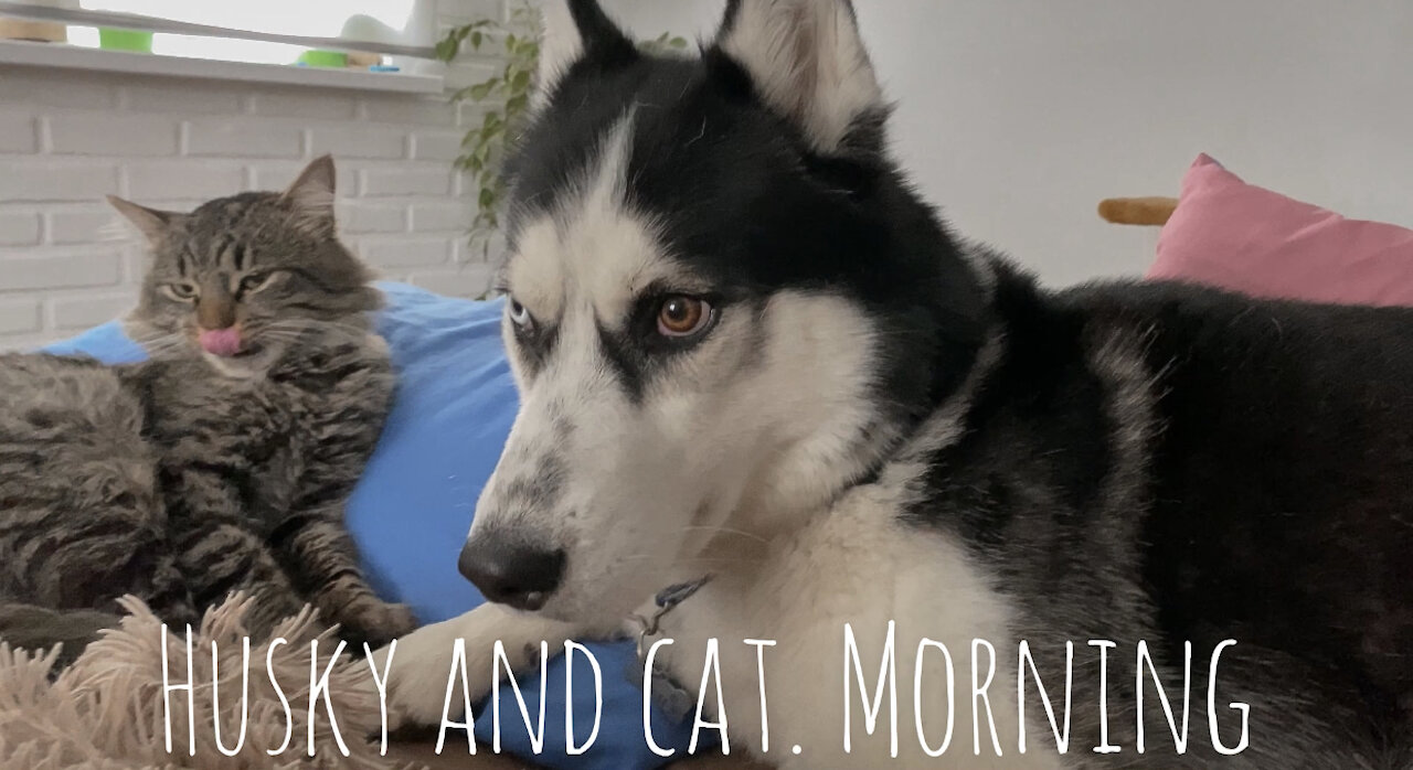 They always take up space on the bed.