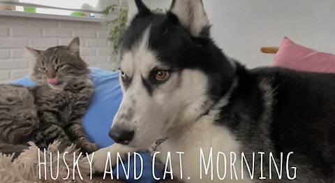 They always take up space on the bed.