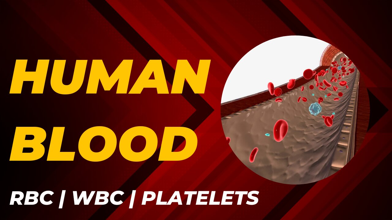 Human Blood | RBC | WBC | Platelets | Plasma | AKScienceWorld