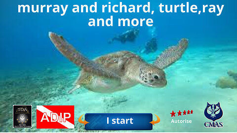 Murray and Richard, turtle, ray and more