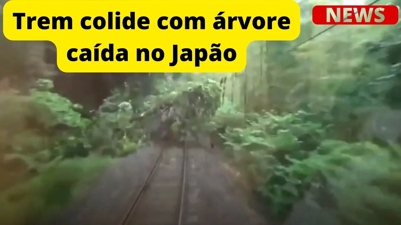 Trem colide com árvore caída no Japão { VÍDEO }