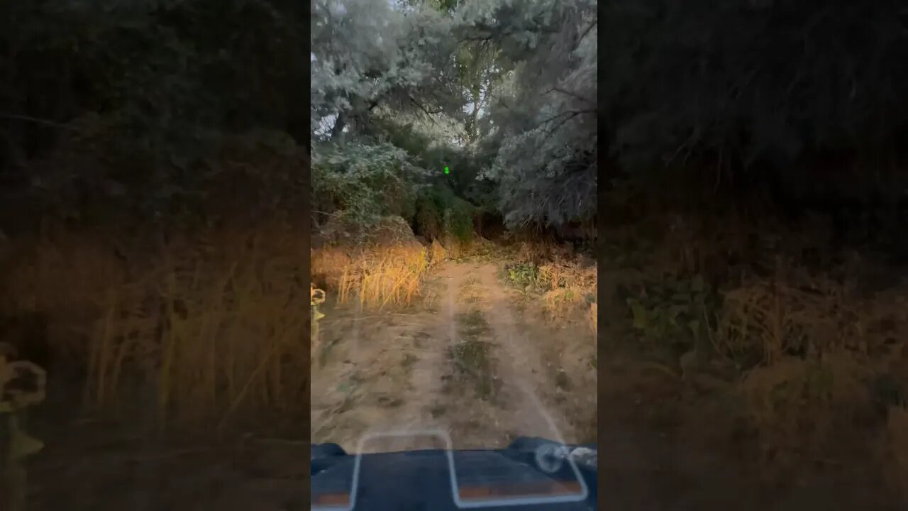 The coolest part of the entire track.