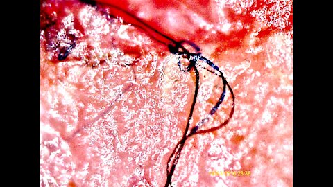 💥💥 MUST SEE💥💥 DO NOT TAKE COVID TEST