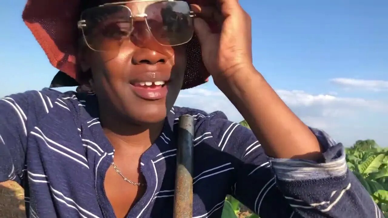 How to use a hoe(badza) to get married :)