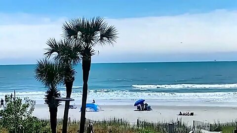 Myrtle beach South Carolina-it is a lovely day!