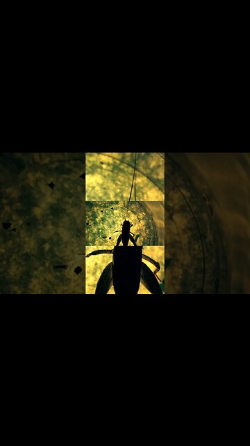 If we were living amongst Aliens what makes you think you would know? #alien #aliens #conspiracy