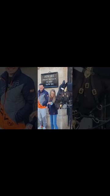 Horse nips at her #horseguardsparade