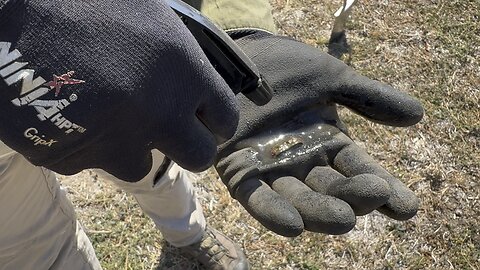 Metal Detecting Rubies