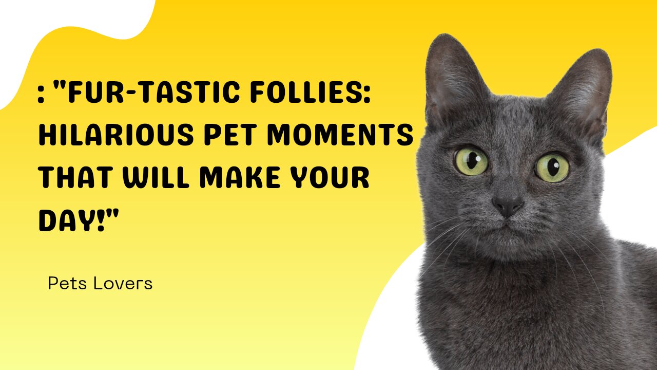 : "Fur-tastic Follies: Hilarious Pet Moments That Will Make Your Day!"