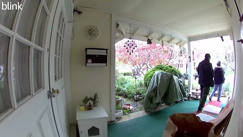 NORTH_VIDEO_DOOR_BELL_2023-04-07T17_43_57-0400.mp4