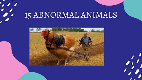 15 Abnormally Large Animals That Actually Exist In The World