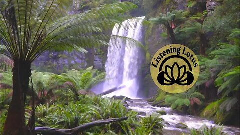 Listening Lotus: Relaxing Australian Jungle River Waterfall