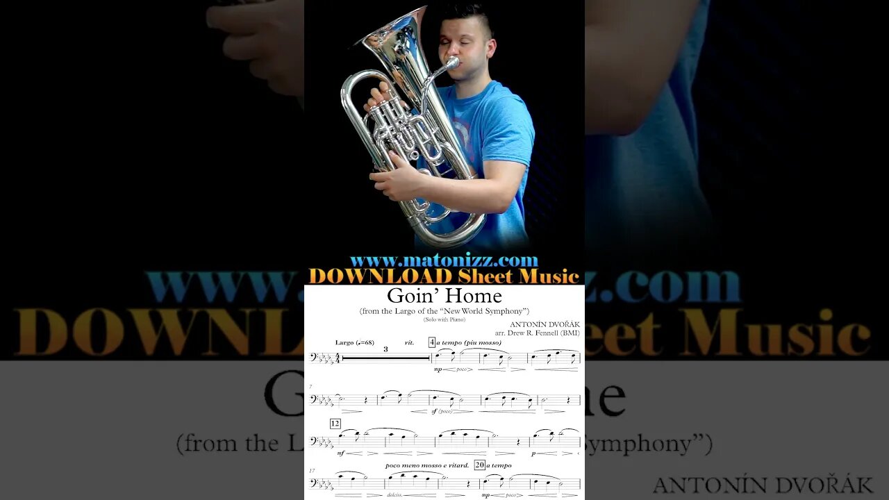 Smoothest Tone: 🍏Flugelhorn or 🍊Euphonium??? #dvorak #goinghome #euphonium #flugelhorn #comparison