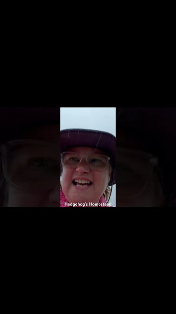 Big storm coming in TN need to get the birds in #hedgehogshomestead