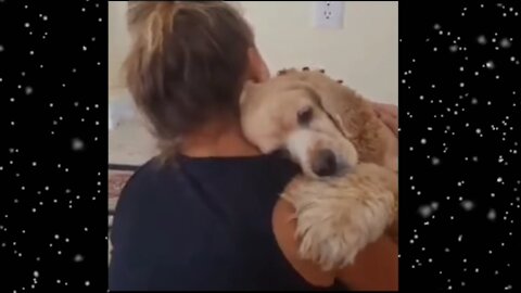 affection between humans and animals