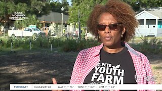 St. Pete Youth Farm helps with food desert gap and so much more