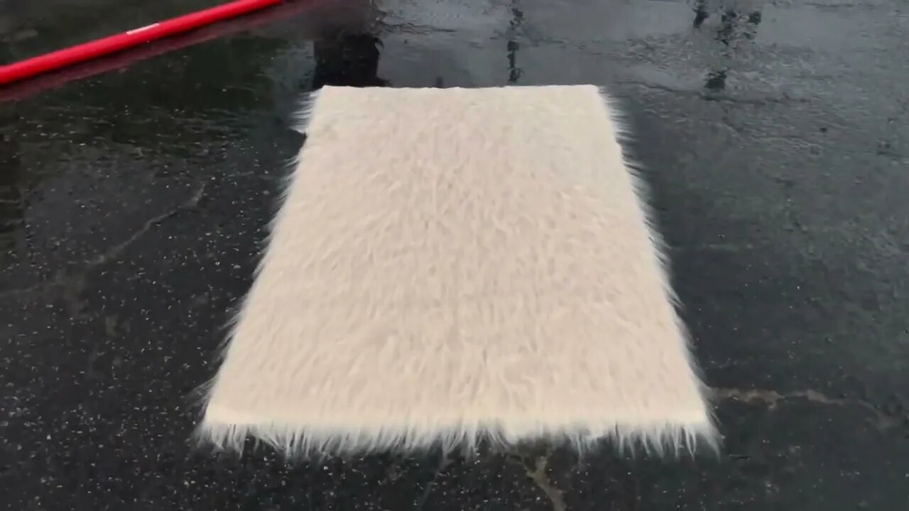 Oddly satisfying ASMR video of a fluffy white rug being washed. Carpet scraping, brushing, scrubbing