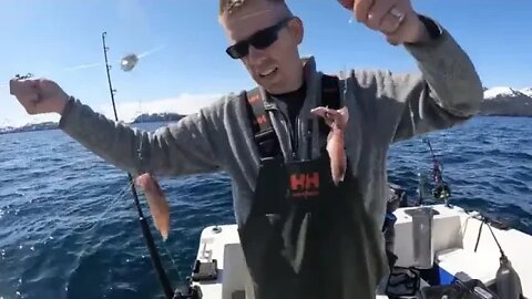 13 3 Days Camping in Alaska & Eating What We Catch Shrimp, Rock Fishing and Halibut Catch & Co