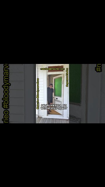 maurieo #shorts QUIZ NIGHT