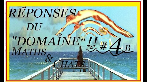 QUESTIONS-RÉPONSES#4 du DOMAINE, MATHS & CHATS#B