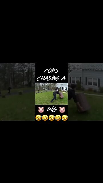 Cops Chase A Pig #shorts