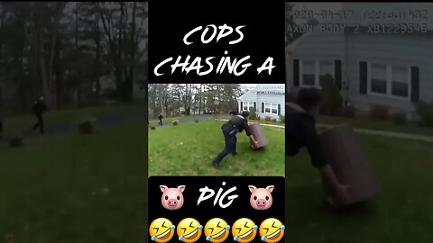 Cops Chase A Pig #shorts