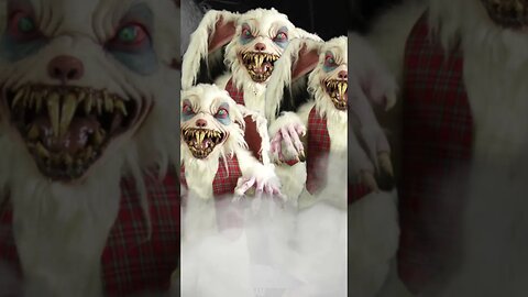 Creepy Easter Bunnies Visit! 😬