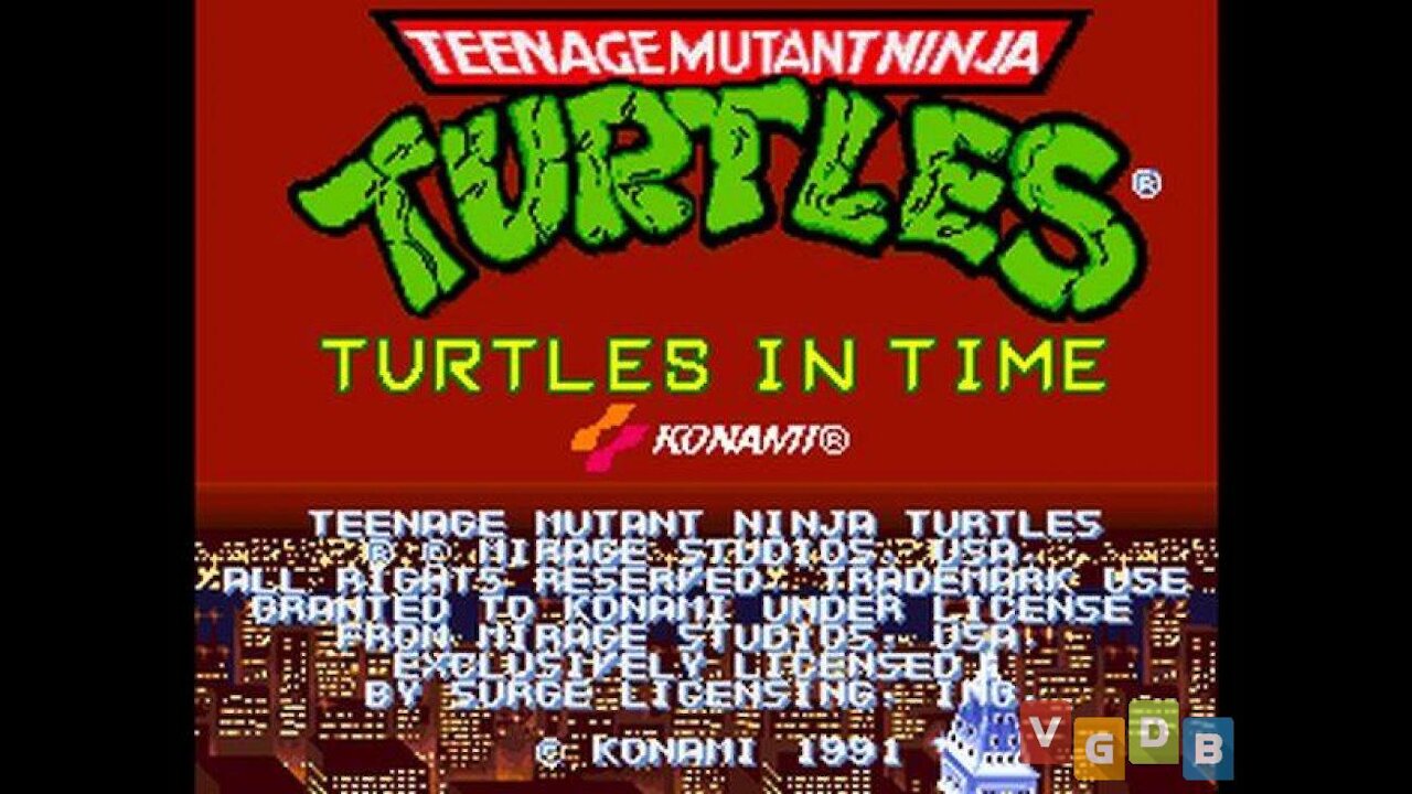 Teenage Mutant Ninja Turtles,Turtles in Tim