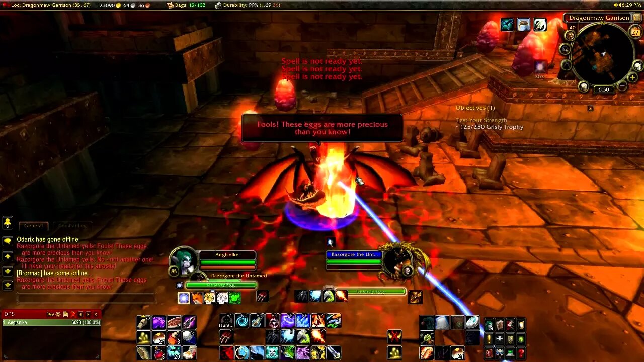 WoW Hunter Solo Razorgore Blackwing Lair Raid