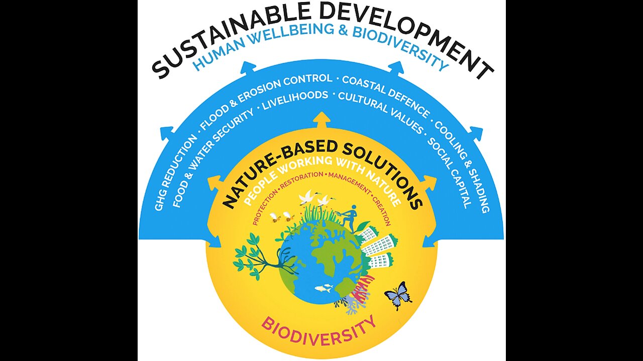 A New Look At Schools and Encouraging a Saner Environment