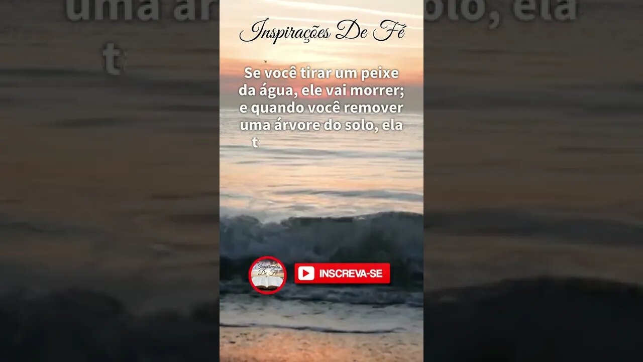 A Importância de Deus em nossa vida