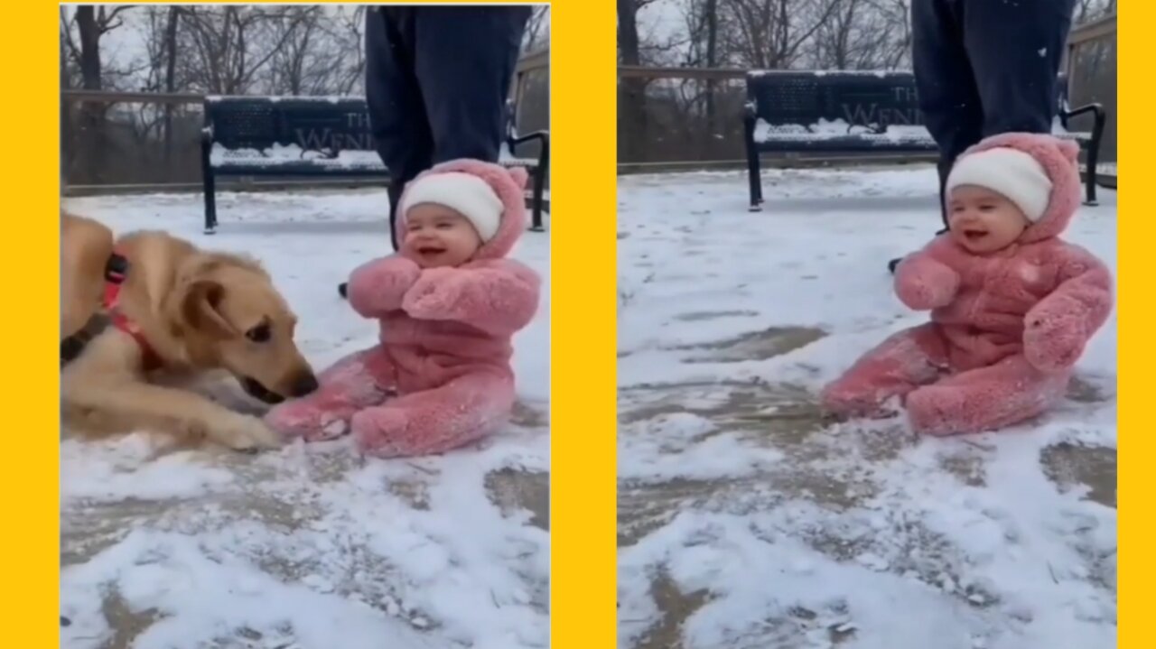 Amazing how a dog can play with a baby and be so gentle 🙃