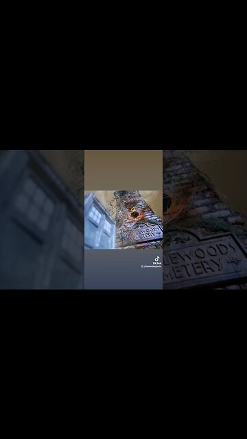 #TARDIS VS #CEMETERY 🎃 HALLOWEEN HORROR NIGHTS #HHN31 #HHN #HALLOWEENHORRORNIGHTS2022 #SHORTS