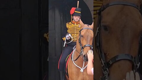 this horse is not in the mood #horseguardsparade