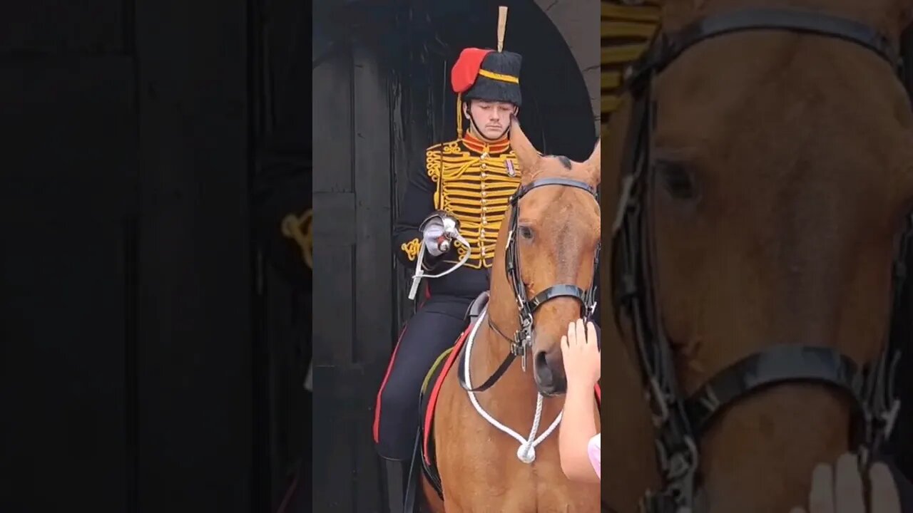 this horse is not in the mood #horseguardsparade