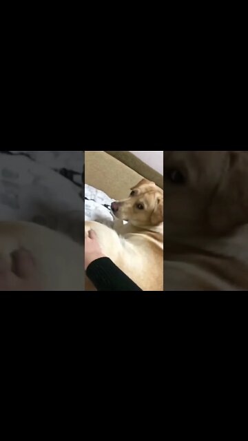 Baby Got Back ..#short