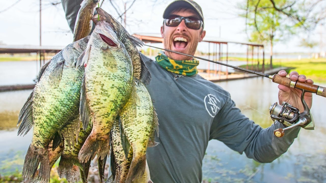 BIG CRAPPIE SPAWNING in Shallow Brush! CATCH & COOK