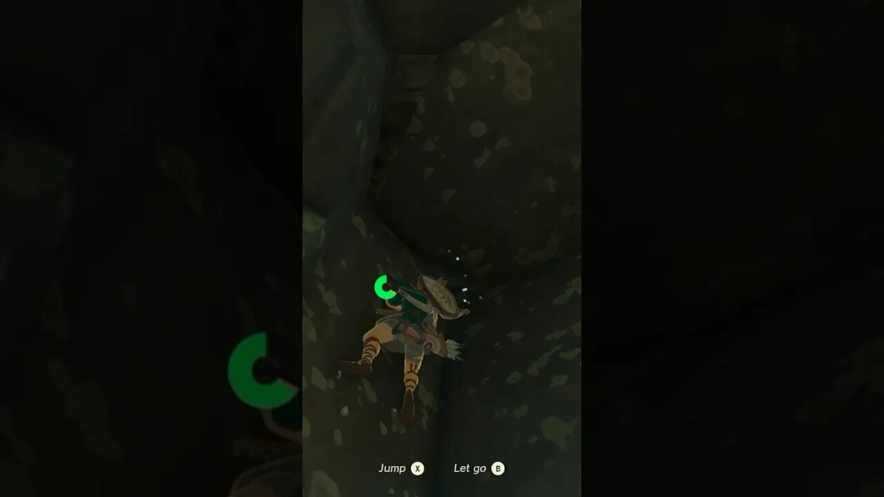 Tears of the Kingdom DOES EVERYTHING RIGHT! #shorts #link #zelda #nintendoswitch #wallclimbing