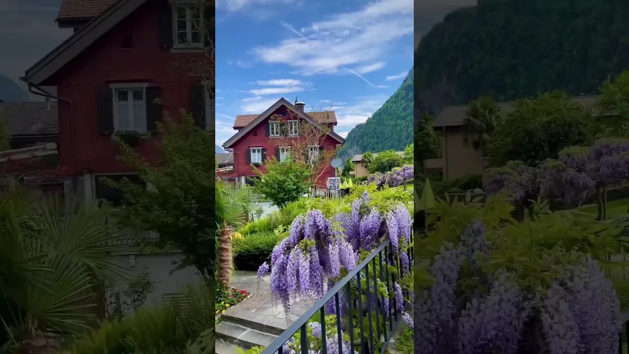 beautiful village #shorts #ytshorts #viral 🧸🤗🌸