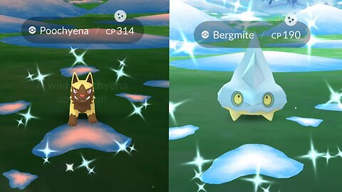 Encountering Shiny Bergmite and Poochyena