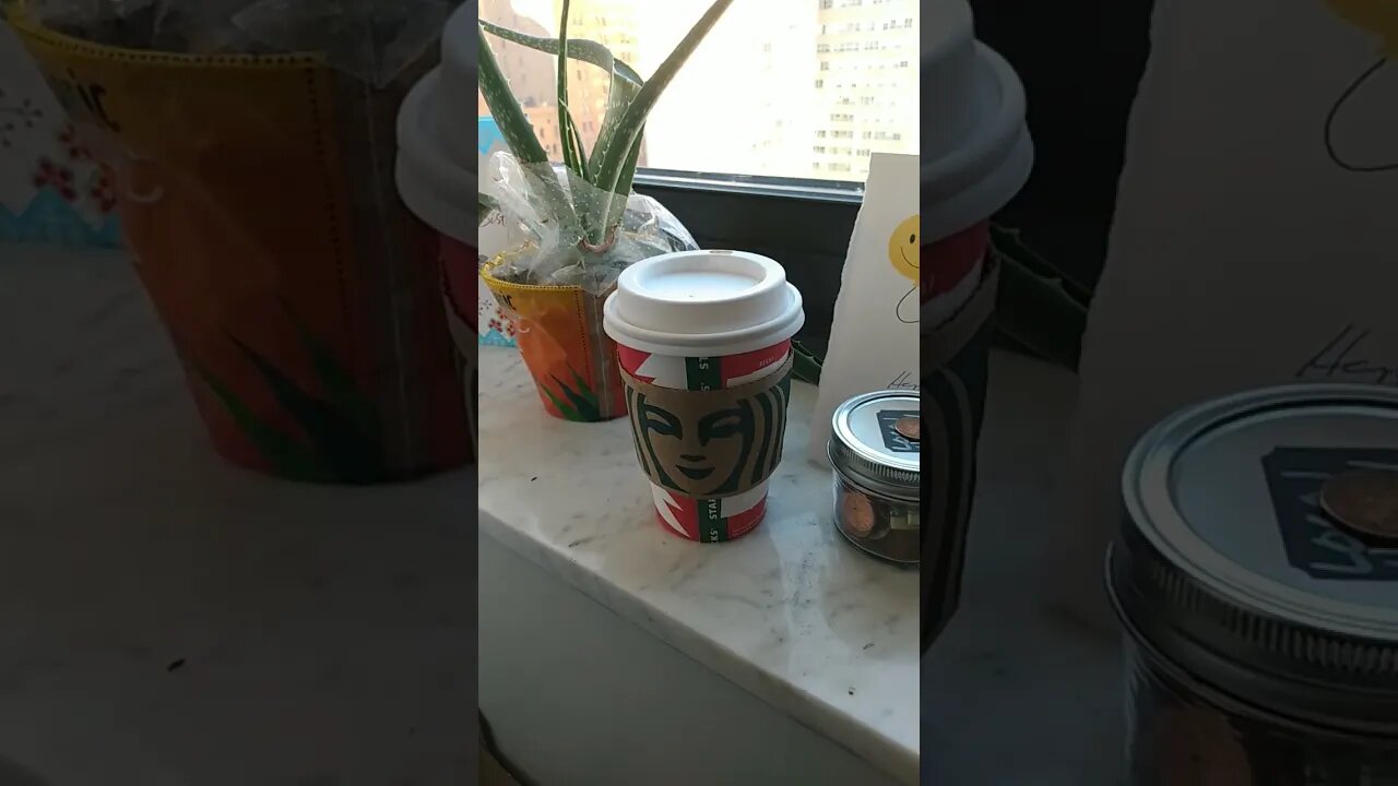 A Shout Out to my Niece Renee (aka Alysia) Schroth! ⭐🧁☕