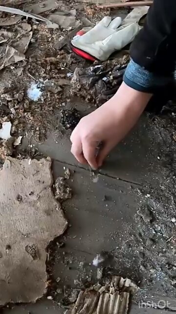 Finding treasures in abandoned buildings