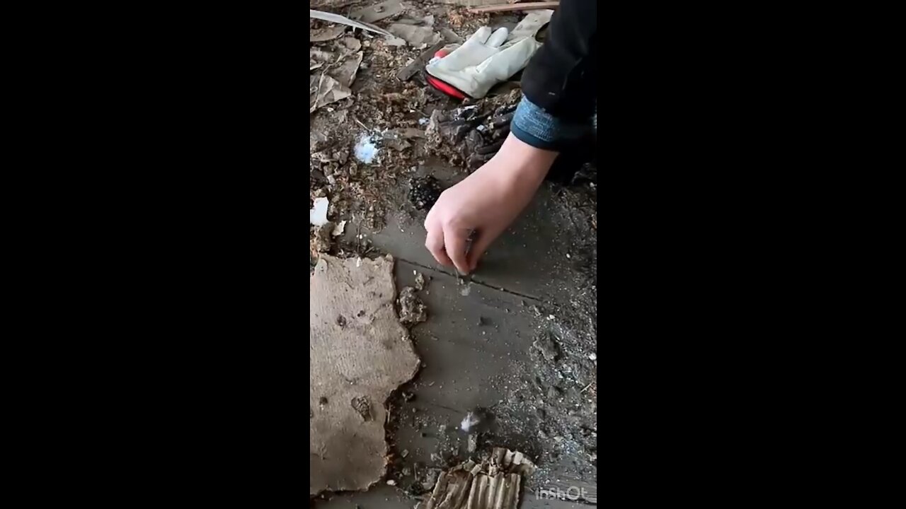 Finding treasures in abandoned buildings