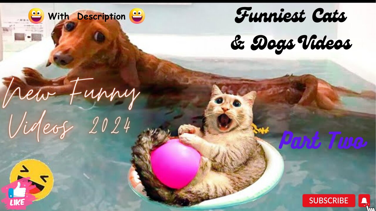 New Funny Videos 2024 😍 Funniest Cats & Dogs (Part Two)