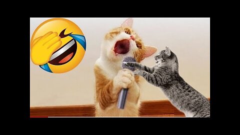 Funny animals - Funny cats / dogs - Funny animal videos 2024 - Part 3/FunWorld